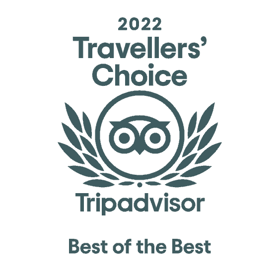 TripAdvisor 2022
