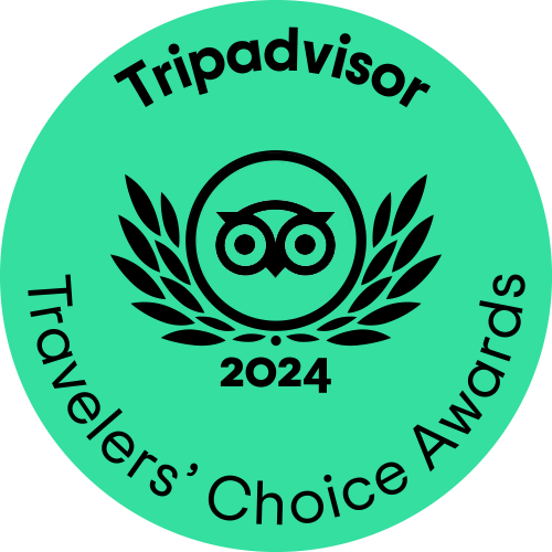 TripAdvisor 2024
