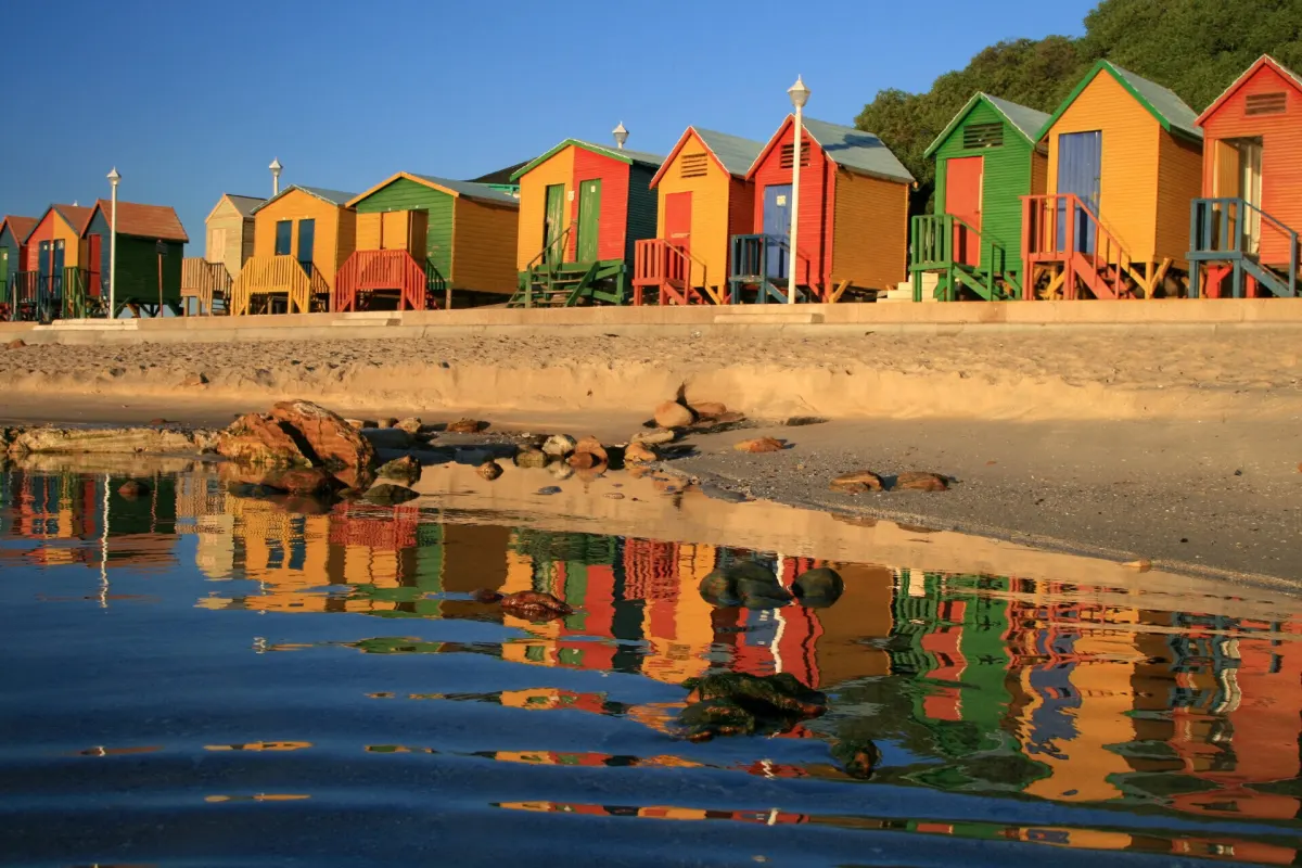 Cape Town tours and safari experiences