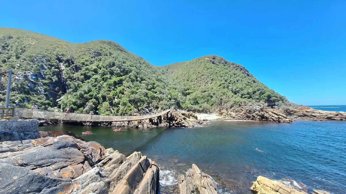 Garden Route tours and safari experiences