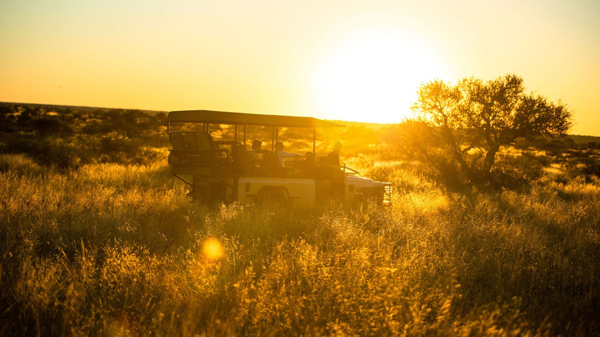 Tswalu Kalahari — Desert Wilderness