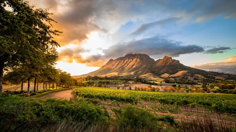 Cape Town Day Tours