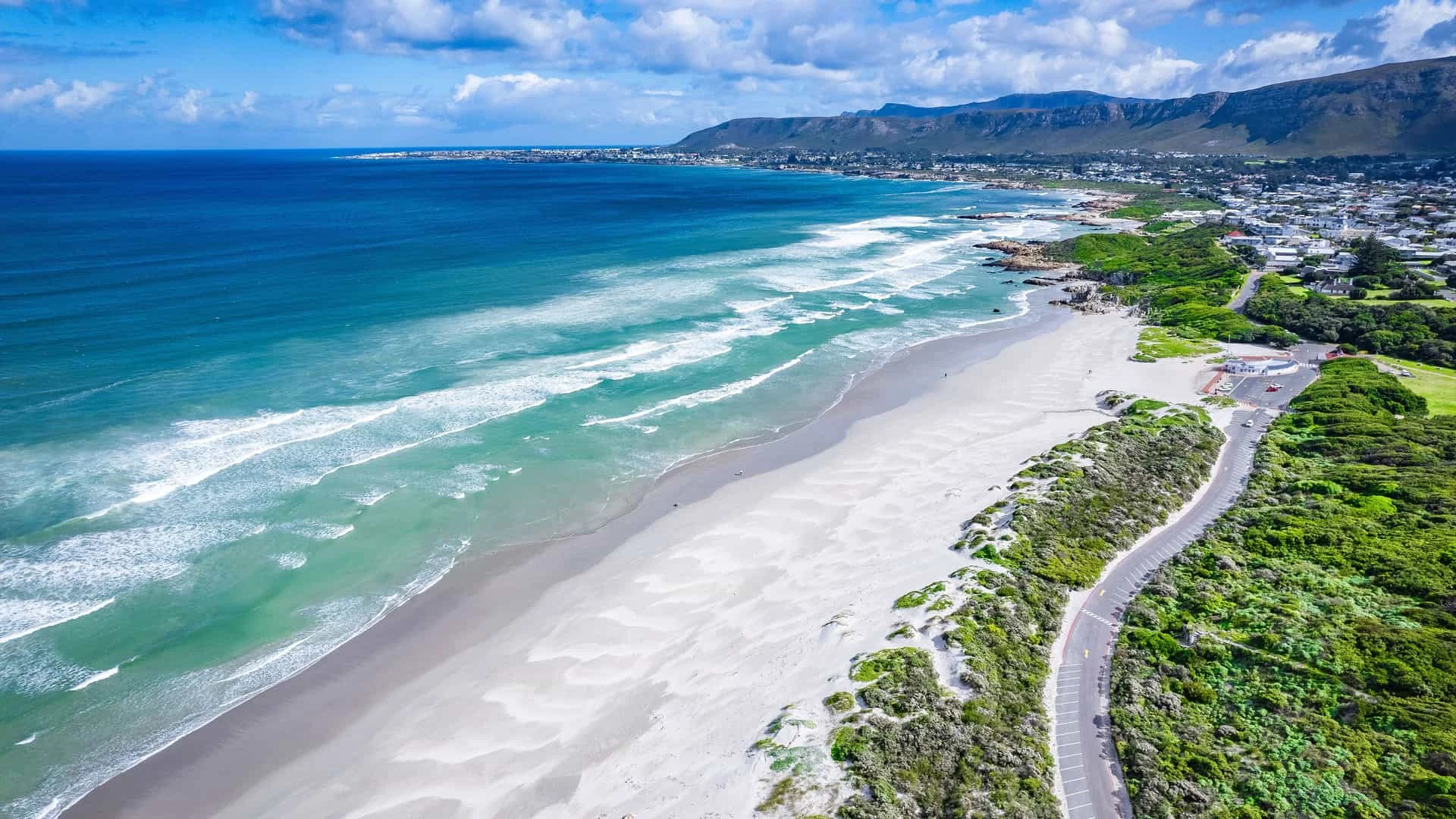 Hermanus 2025: Whale Watching, Wine Route, Cliff Paths & Complete Guide