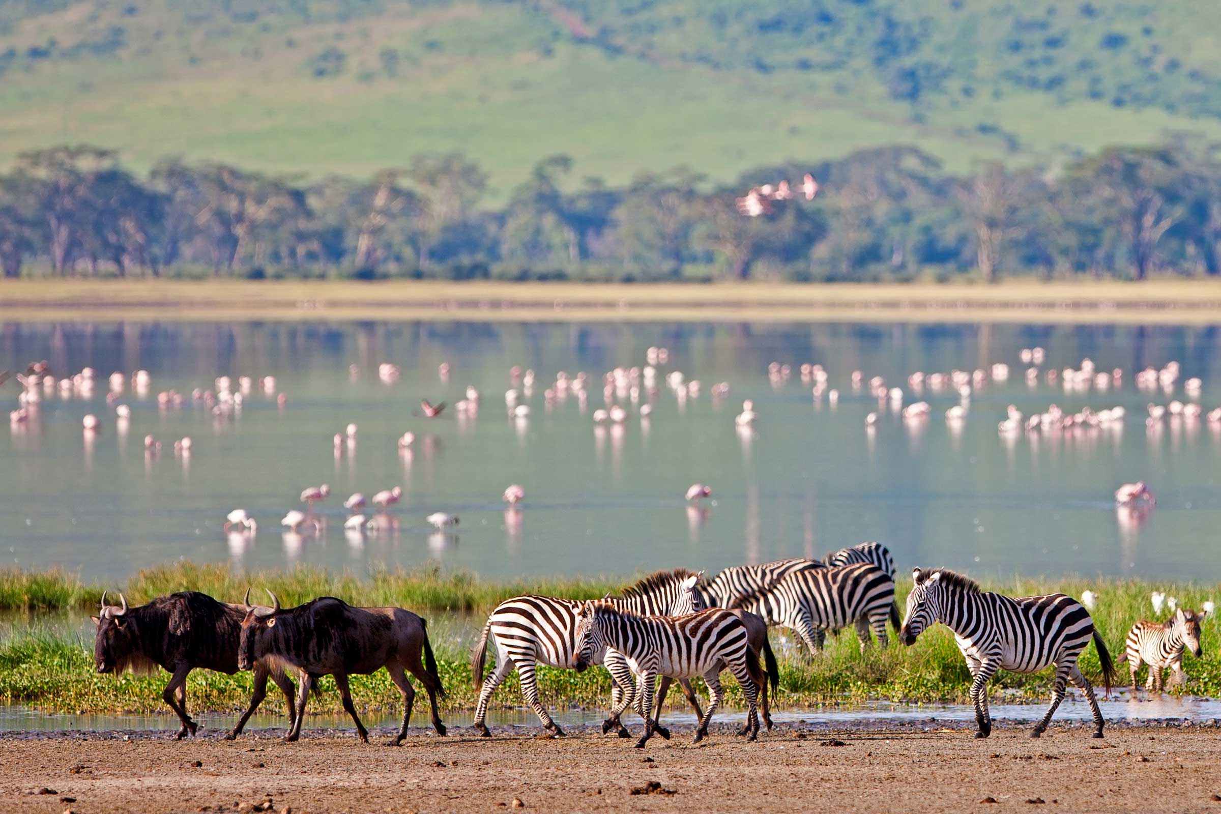 Ngorongoro Crater, Tanzania — one of Africa's best safari parks