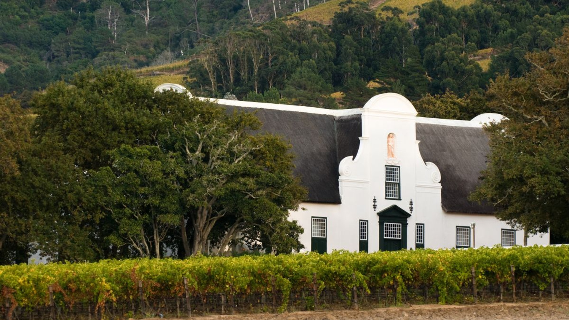 2-Day Cape Town Big 6 Pre-Booked Attraction Tickets — Photo 4