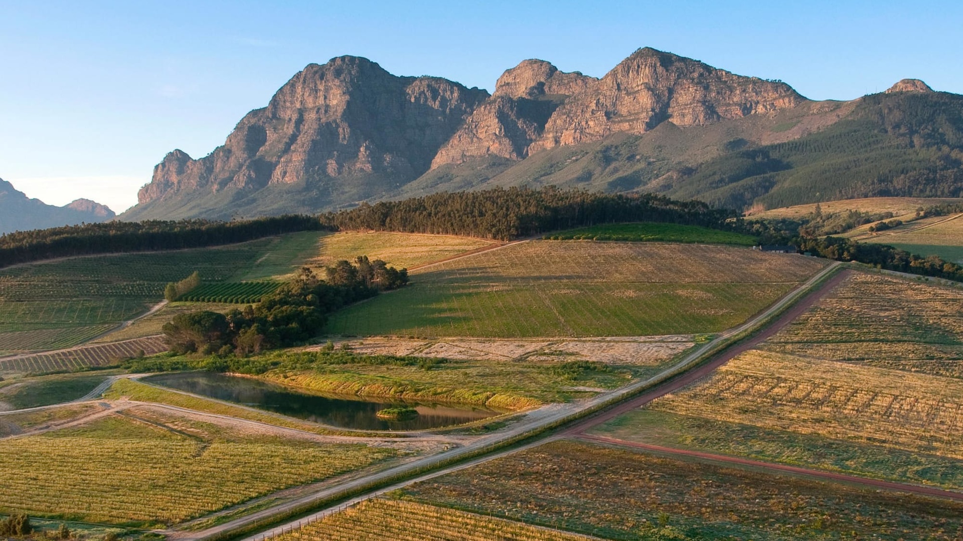 Cape Winelands Luxury Wine Tour — Tastings, Lunch & Cheese Pairing