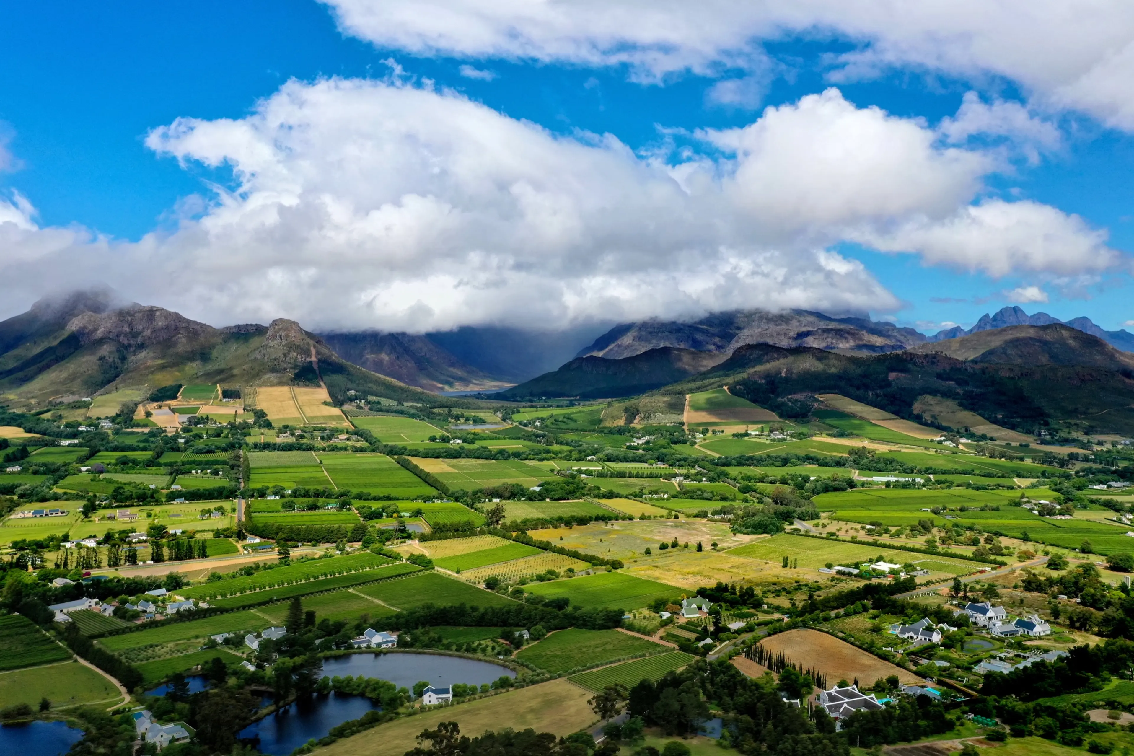 Franschhoek Wine Tram Hop-On Hop-Off with Transfers — Photo 2