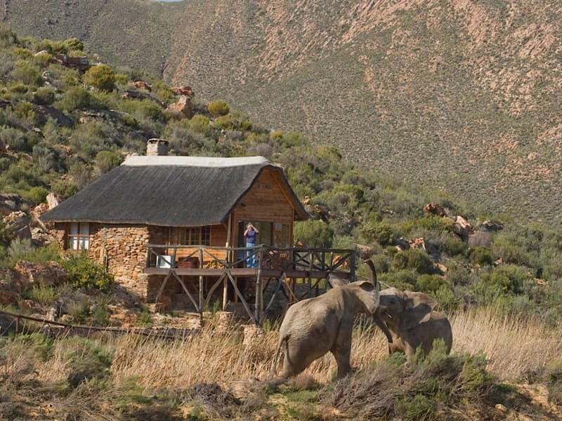 Aquila Game Reserve — Sunset Big 5 Safari Experience