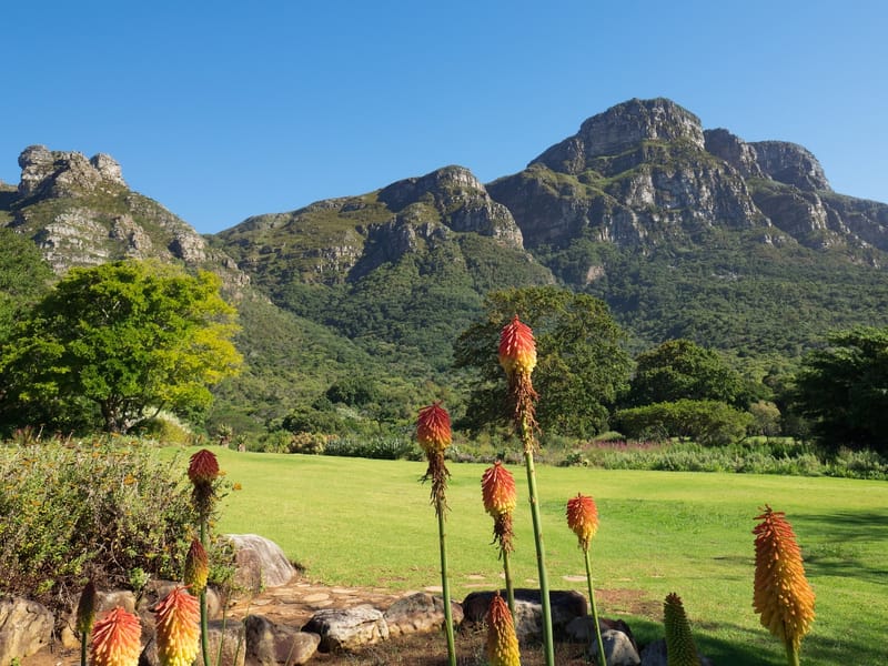 Cape Town Private City Tour & Winelands Experience