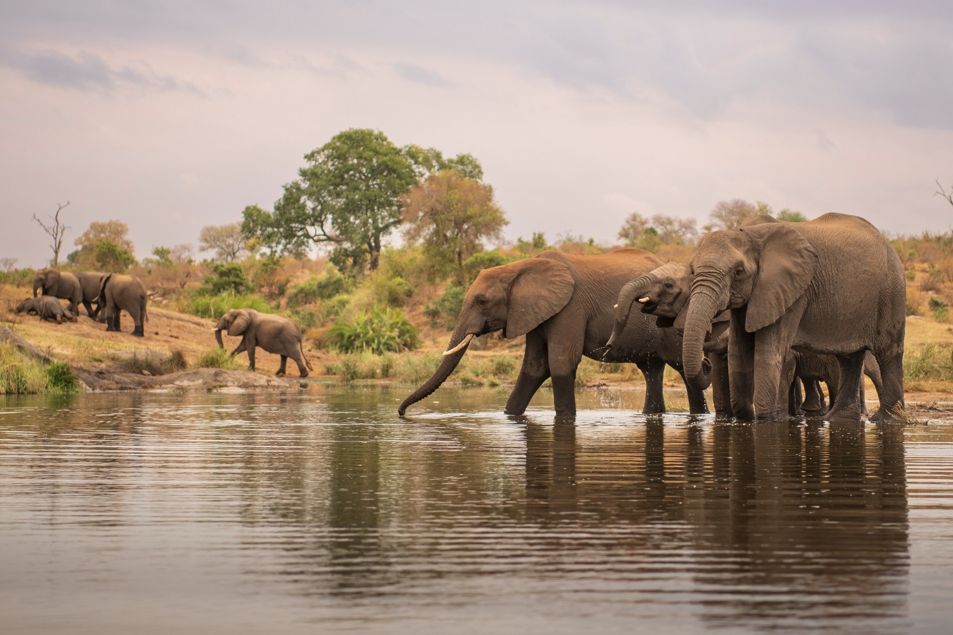 2-Day Kruger Fly-In Big 5 Safari from Johannesburg — Photo 3
