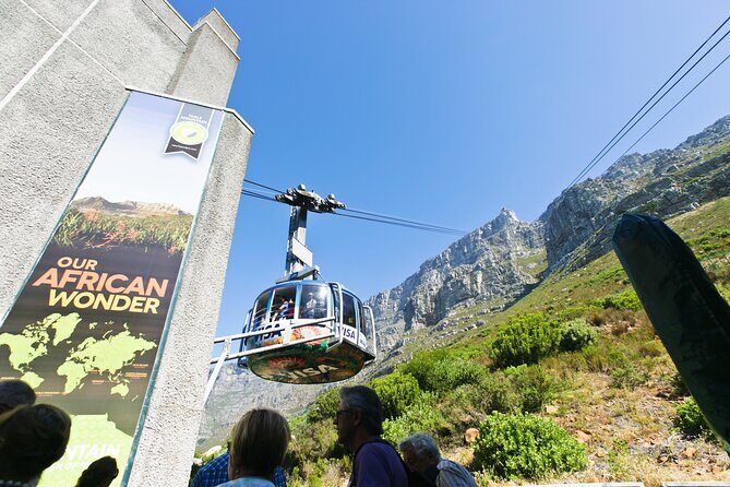 Table Mountain, Penguins & Cape Point Full-Day Tour