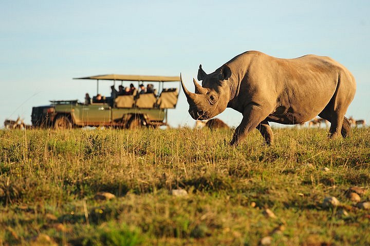 5-Day Garden Route with 4-Star Accommodation