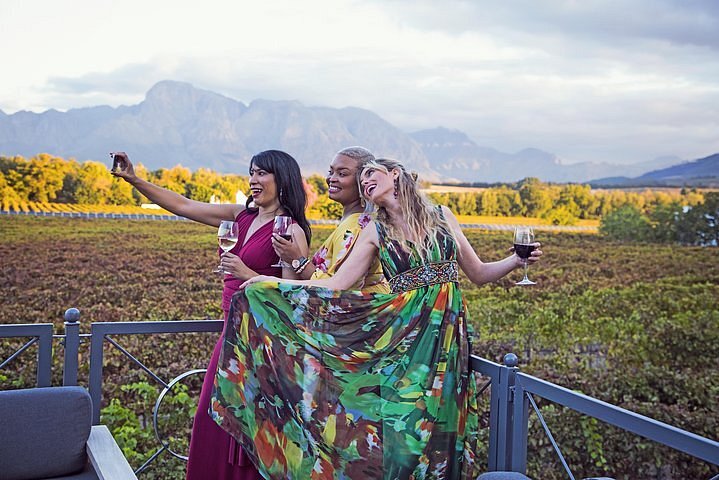 Constantia Winelands Private Wine Tour