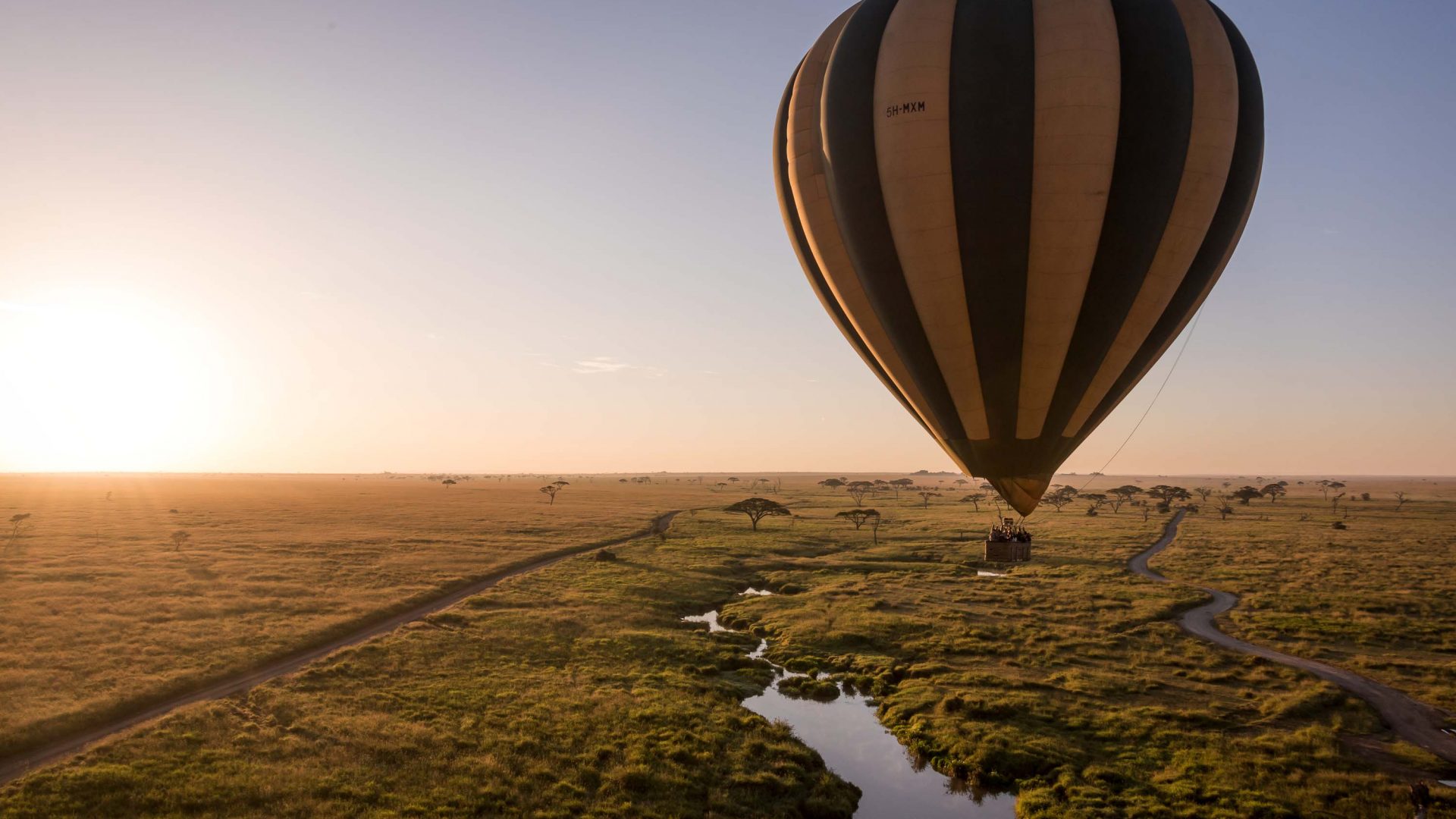 Great Migration River Crossings: When, Where & How to Witness Africa's Greatest Spectacle